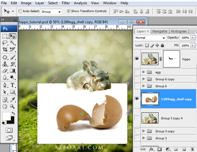hippo, photoshop, nest, egg, shell, flying hippo, cute, baby, wings, hippopotamus, feathers
